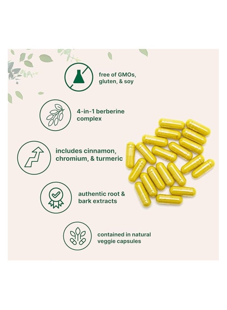 Micro Ingredients Berberine with Ceylon Cinnamon, Chromium, & Turmeric, 240 Veggie Capsules | Berberine HCl Supplement + Turmeric Root & Cinnamon Bark Extract | Non-GMO, Gluten Free - Image 3